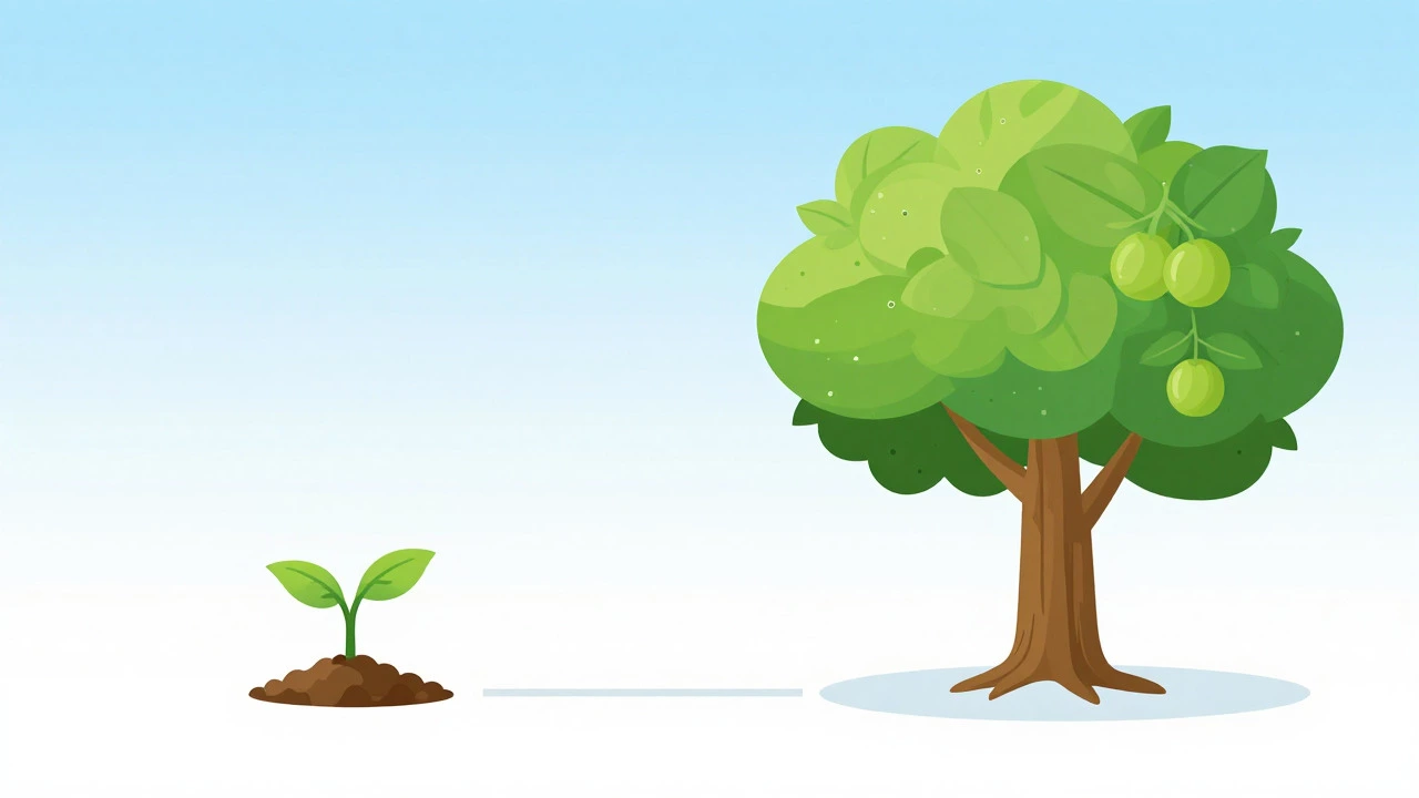 Thriving tree vs small plant illustrating ISA growth advantage